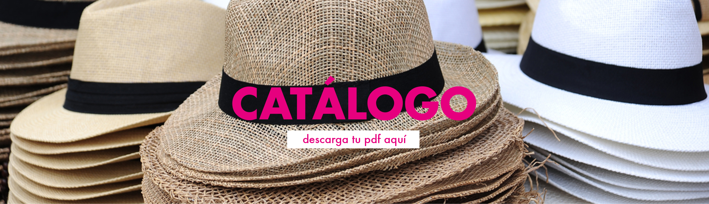 catalogo