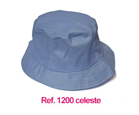 1200 celeste